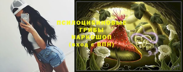 PSILOCYBIN Горно-Алтайск